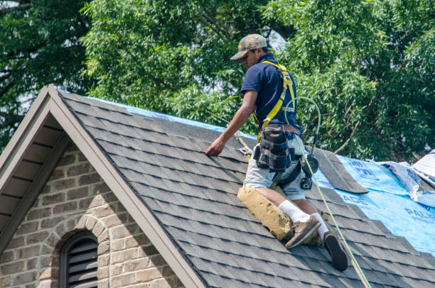Best Roof Waterproofing Services  in Ingram, TX